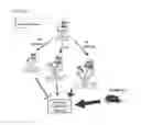 Fig. 09 - Method for improving memory using CCNY inhibitor
