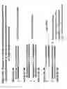 Fig. 20 - Chemically modified multifunctional short interfering nucleic acid molecules that mediate RNA interference