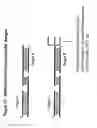 Fig. 34 - Chemically modified multifunctional short interfering nucleic acid molecules that mediate RNA interference