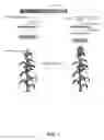 Fig. 02 - Tissue-specific expression and hybrid plant production