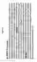Fig. 04 - Plant regulatory elements and methods of use thereof