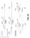 Fig. 06 - LENTIVIRAL TRIPLEX DNA, AND VECTORS AND RECOMBINANT CELLS CONTAINING LENTIVIRAL TRIPLEX DNA