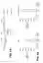 Fig. 09 - LENTIVIRAL TRIPLEX DNA, AND VECTORS AND RECOMBINANT CELLS CONTAINING LENTIVIRAL TRIPLEX DNA