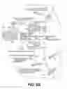Fig. 12 - LENTIVIRAL TRIPLEX DNA, AND VECTORS AND RECOMBINANT CELLS CONTAINING LENTIVIRAL TRIPLEX DNA