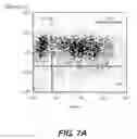 Fig. 13 - LENTIVIRAL TRIPLEX DNA, AND VECTORS AND RECOMBINANT CELLS CONTAINING LENTIVIRAL TRIPLEX DNA