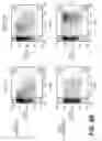 Fig. 17 - LENTIVIRAL TRIPLEX DNA, AND VECTORS AND RECOMBINANT CELLS CONTAINING LENTIVIRAL TRIPLEX DNA