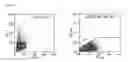 Fig. 03 - Viral vector targeting cancer stem cells