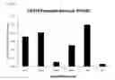 Fig. 07 - Viral vector targeting cancer stem cells