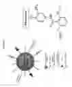 Fig. 07 - BIOLOGICALLY ACTIVE SYNTHETIC NANOPARTICLE CONSTRUCTS AND METHODS OF USE THEREOF