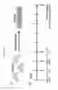 Fig. 15 - BIOLOGICALLY ACTIVE SYNTHETIC NANOPARTICLE CONSTRUCTS AND METHODS OF USE THEREOF