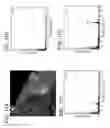 Fig. 11 - Method of producing electrically active bacteria reduced graphene oxide and electrically active bacteria reduced graphene oxide