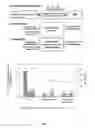 Fig. 06 - High gravity, fed-batch ionic liquid based process for deconstructing biomass