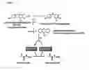 Fig. 03 - Biological production of methyl methacrylate