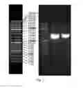 Fig. 02 - Xylene monooxygenase-producing strain and its application