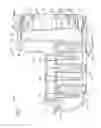 Fig. 05 - Instrument for cassette for sample preparation