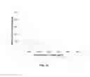 Fig. 19 - Generating cell-free DNA libraries directly from blood
