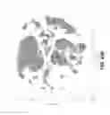 Fig. 102 - Sample indexing for single cells