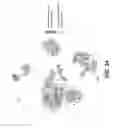 Fig. 113 - Sample indexing for single cells