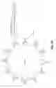 Fig. 15 - Sample indexing for single cells