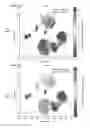 Fig. 35 - Sample indexing for single cells