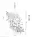 Fig. 50 - Sample indexing for single cells
