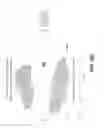 Fig. 60 - Sample indexing for single cells