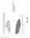 Fig. 61 - Sample indexing for single cells
