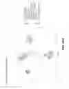 Fig. 90 - Sample indexing for single cells