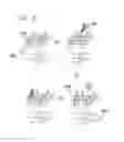 Fig. 07 - Charge perturbation detection system for DNA and other molecules