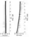 Fig. 59 - Method for identification and enumeration of nucleic acid sequences, expression, splice variant, translocation, copy, or DNA methylation changes using combined nuclease, ligase, polymerase, terminal transferase, and sequencing reactions