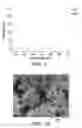 Fig. 66 - Method for identification and enumeration of nucleic acid sequences, expression, splice variant, translocation, copy, or DNA methylation changes using combined nuclease, ligase, polymerase, terminal transferase, and sequencing reactions