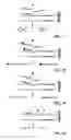 Fig. 71 - Method for identification and enumeration of nucleic acid sequences, expression, splice variant, translocation, copy, or DNA methylation changes using combined nuclease, ligase, polymerase, terminal transferase, and sequencing reactions