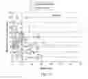 Fig. 08 - Detection and quantification of donor cell-free DNA in the circulation of organ transplant recipients