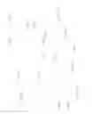 Fig. 41 - Response to EGFR blockade