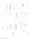 Fig. 78 - Response to EGFR blockade