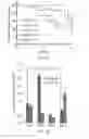 Fig. 08 - METHODS OF DIAGNOSING AND TREATING BREAST CANCER