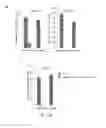 Fig. 26 - METHODS OF DIAGNOSING AND TREATING BREAST CANCER
