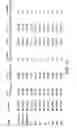 Fig. 32 - METHODS OF DIAGNOSING AND TREATING BREAST CANCER