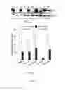 Fig. 07 - Process for Exploiting Synthetic Lethality Based on OverExpression of MYC Oncogene