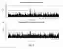 Fig. 04 - METHODS AND SNP DETECTION KITS FOR PREDICTING PALM OIL YIELD OF A TEST OIL PALM PLANT
