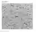 Fig. 04 - Highly rigid sheet for car body