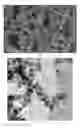 Fig. 06 - Production of nanostructured materials