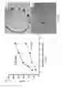 Fig. 05 - Membrane template synthesis of microtube engines