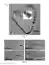 Fig. 06 - Membrane template synthesis of microtube engines