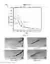 Fig. 08 - Membrane template synthesis of microtube engines