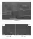 Fig. 10 - Membrane template synthesis of microtube engines