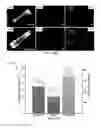 Fig. 13 - Membrane template synthesis of microtube engines