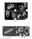 Fig. 14 - Membrane template synthesis of microtube engines