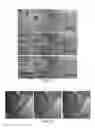 Fig. 15 - Membrane template synthesis of microtube engines