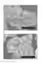 Fig. 07 - Manganese/nickel composite oxide particles and process for producing the manganese nickel composite oxide particles, positive electrode active substance particles for non-aqueous electrolyte secondary batteries and process for producing the positive electrode active substance particles, and non-aqueous electrolyte secondary battery